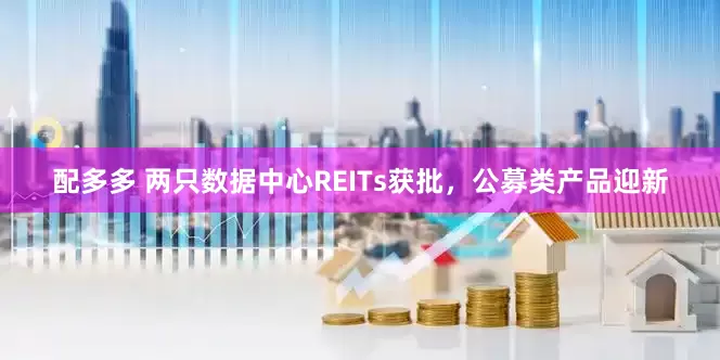 配多多 两只数据中心REITs获批，公募类产品迎新