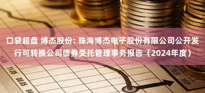 口袋超盘 博杰股份: 珠海博杰电子股份有限公司公开发行可转换公司债券受托管理事务报告(2024年度)