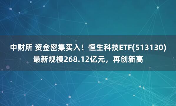 中财所 资金密集买入！恒生科技ETF(513130)最新规模268.12亿元，再创新高