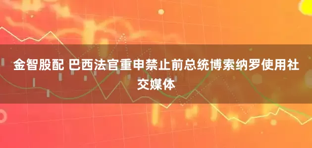 金智股配 巴西法官重申禁止前总统博索纳罗使用社交媒体